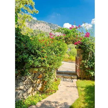 Villa Sami